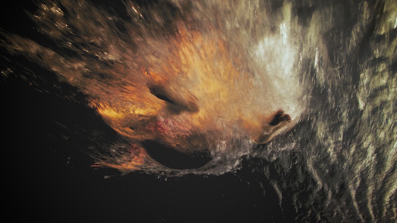 _MG_2363 - Version 2